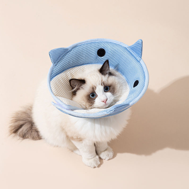 Cute shark shape Soft Cat Recovery Collar