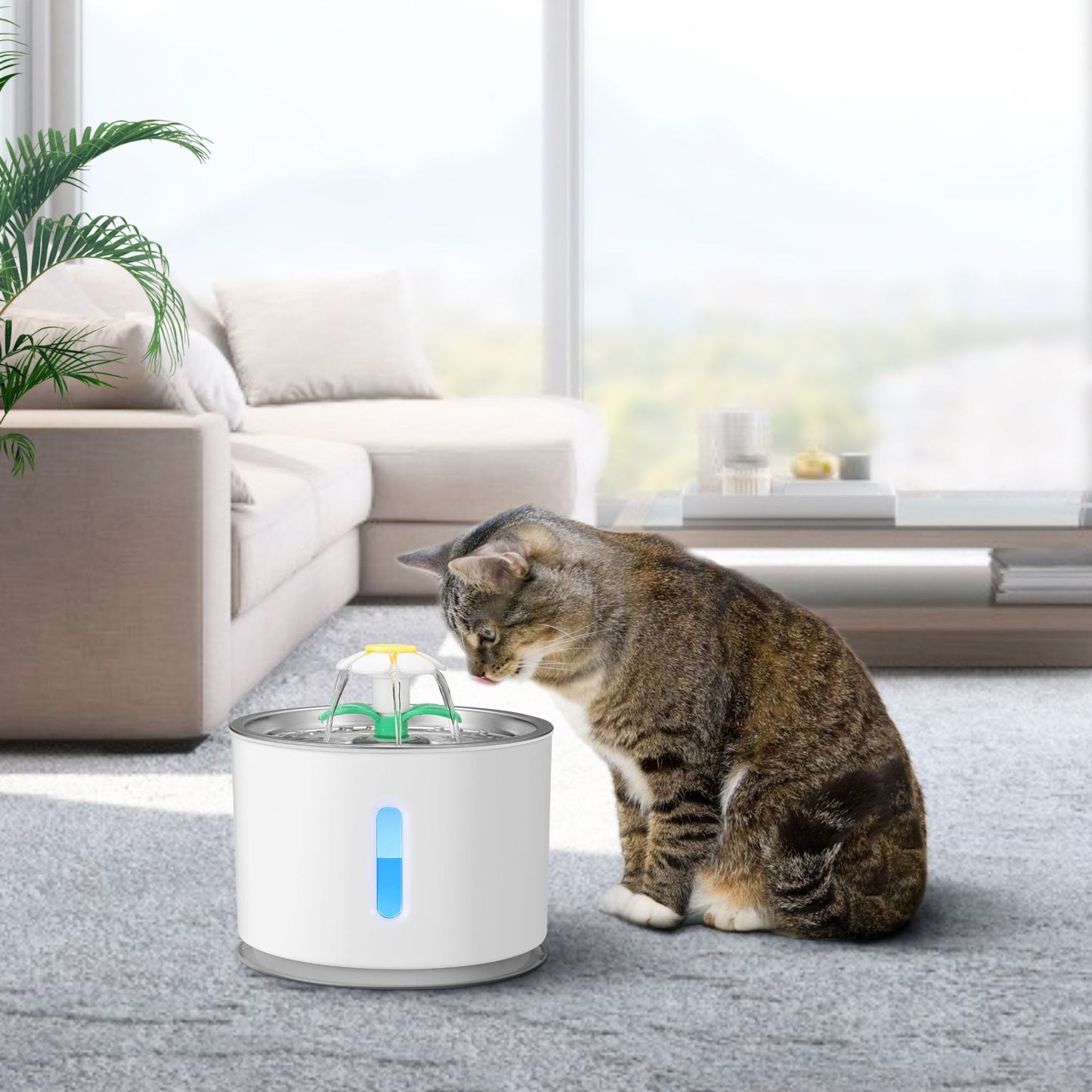 Cat Drinking from Stainless Steel Water Fountain for Cats & Dogs