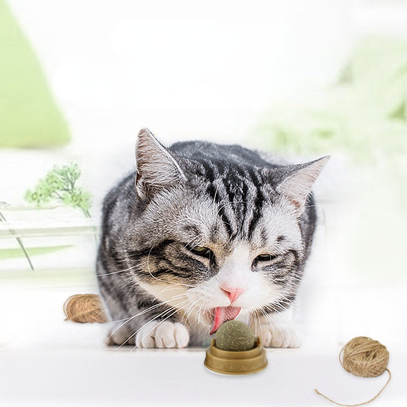 Rotary Catnip Ball Treats for Dental Health