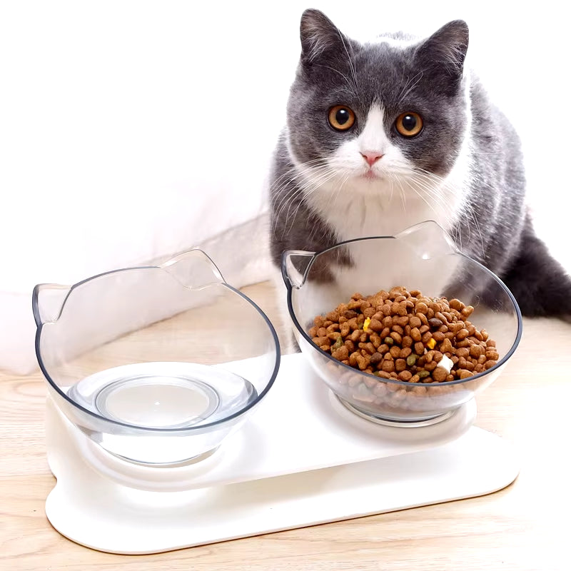 Clear Double Cat Bowl Pet Water Food Pet Bowl Inclination Stand Cats Feeder Feeding Bowl Kitten