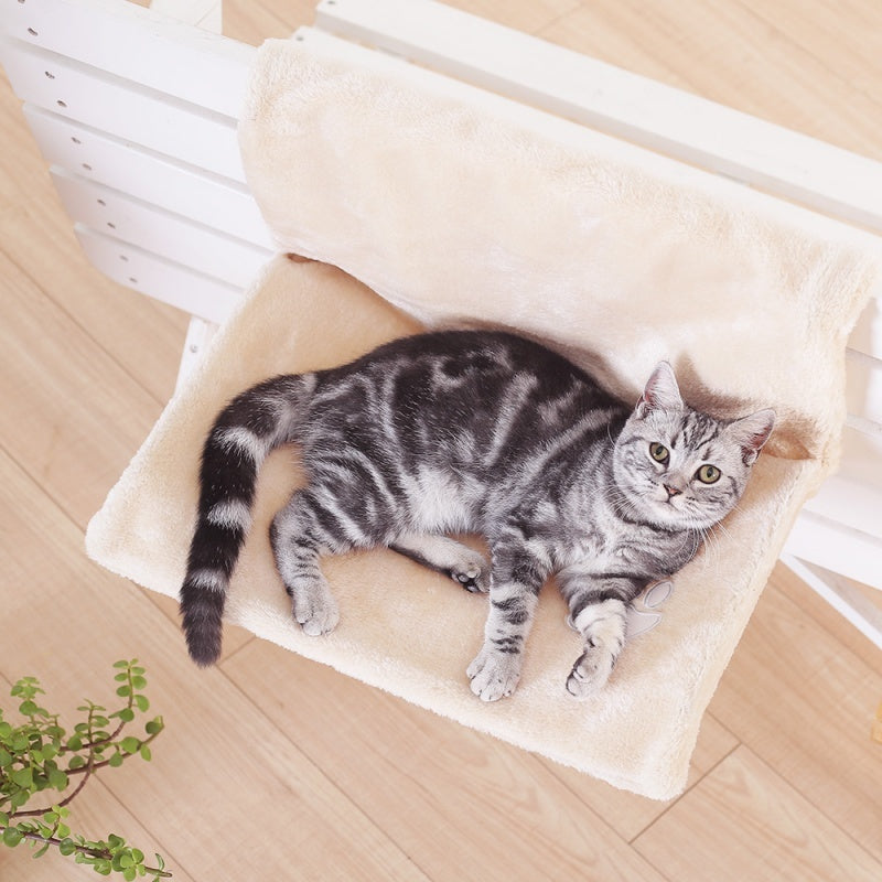 Cat enjoying White Cat Hammock