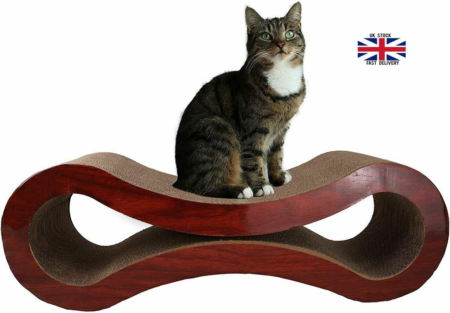 Cat sitting on Scratching Post Lounge Bed showing polished wood edging.