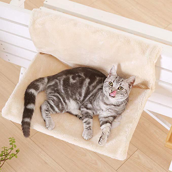 Cat enjoying White Cat Hammock
