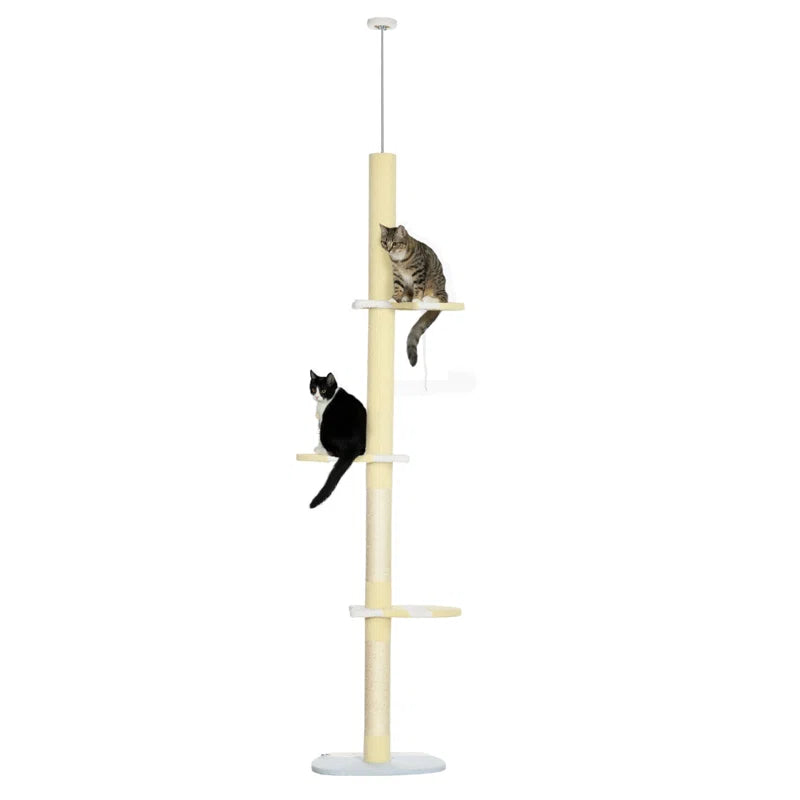 Cats Climbing on cat tree