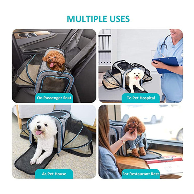 Demonstration of Uses of the Expandable Airline Approved Cat Carrier.