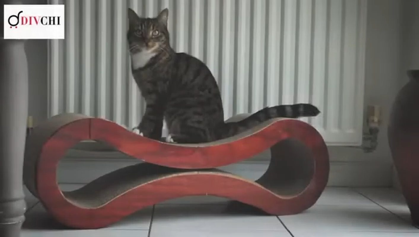 Cat sitting on Scratching Post Lounge Bed showing polished wood edging.