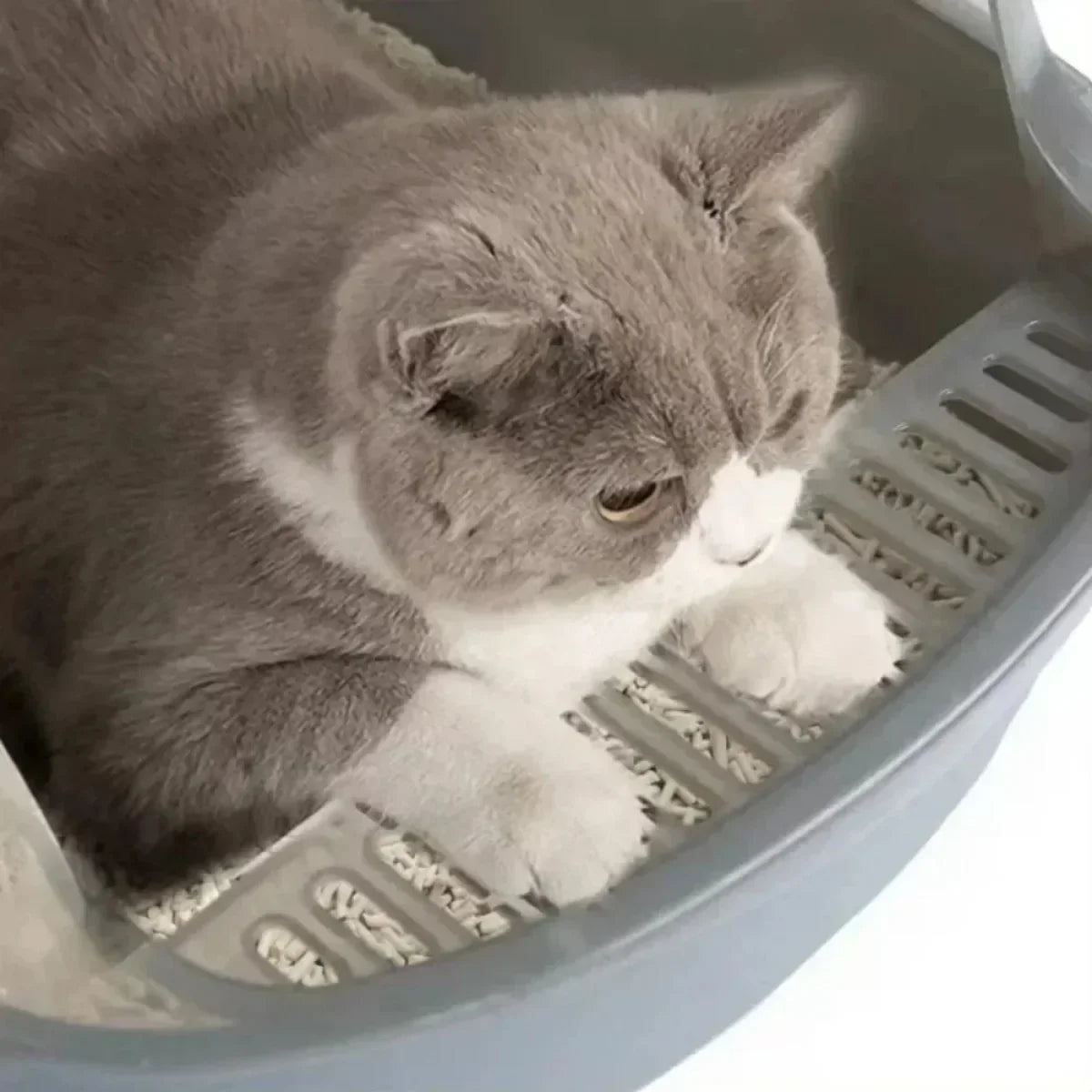 Open Cat Litter Box Thickening Kitty Sandbox Semi-Enclosed High Side Splashproof Pet Bedpans with Litter Scoop Cat Supplies
