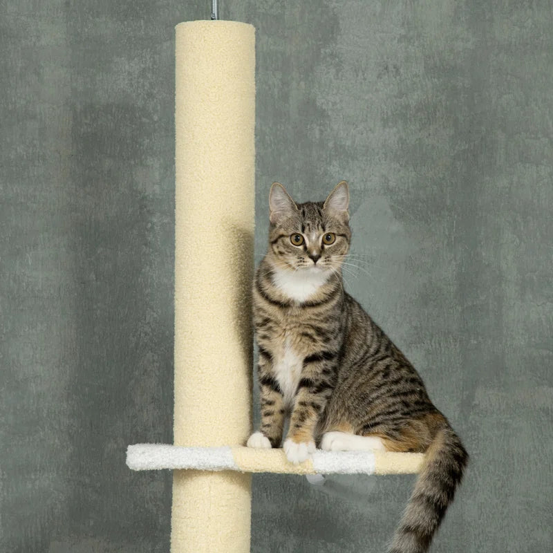 Cat perching comfortably