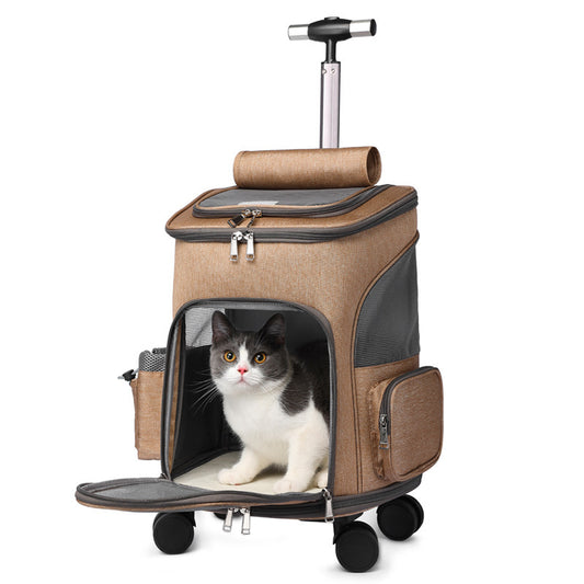 Cat Modelling the Khaki Portable Folding Pet Trolley Backpack