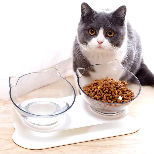 Clear Double Cat Bowl Pet Water Food Pet Bowl Inclination Stand Cats Feeder Feeding Bowl Kitten