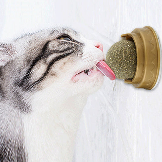Rotary Catnip Ball Treats for Dental Health