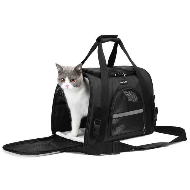 Cat can move around in the cat carrier